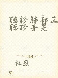 听诊肺部正常的听诊音是