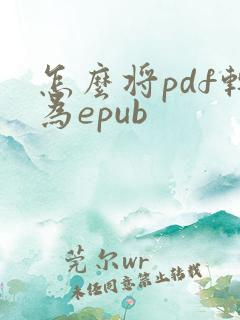 怎么将pdf转为epub