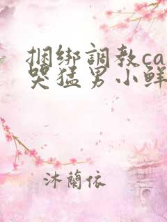 捆绑调教cao哭猛男小鲜肉0