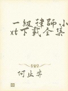 一级律师小说txt下载全集