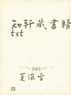 知轩藏书精校版txt