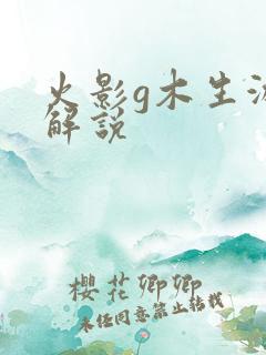 火影g木生游戏解说
