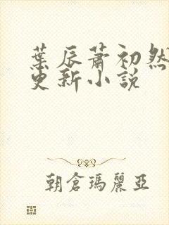 叶辰萧初然最快更新小说