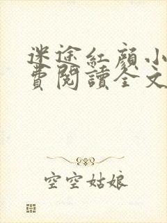 迷途红颜小说免费阅读全文