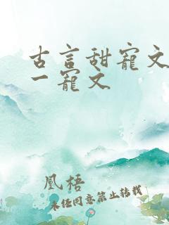 古言甜宠文一对一宠文