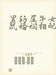 男的属牛女的属鼠婚姻相配吗