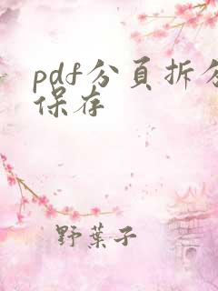 pdf分页拆分保存