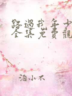 路过我年少时光全集免费观看