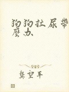 狗狗拉尿带血怎么办