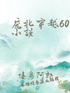 庞北穿越60年小说