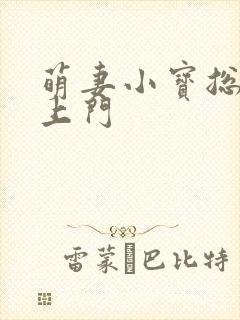 萌妻小宝总裁找上门