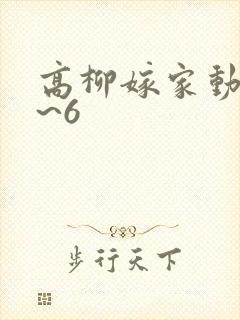 高柳嫁家动漫1~6