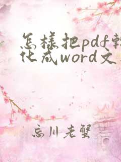 怎样把pdf转化成word文档