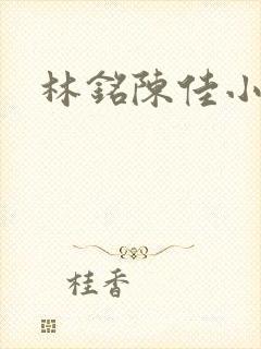 林铭陈佳小说