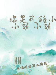 你是我的小确幸 小说 小说
