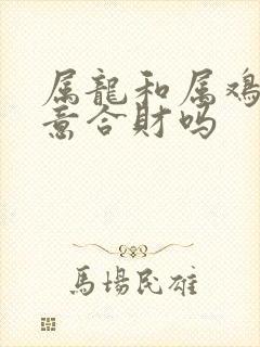属龙和属鸡做生意合财吗
