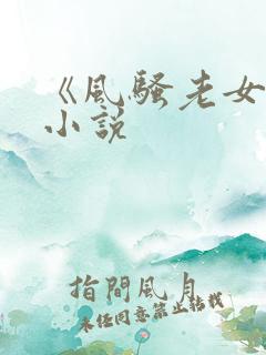 《风骚老女人》小说
