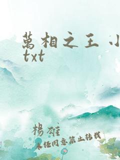 万相之王 小说 txt