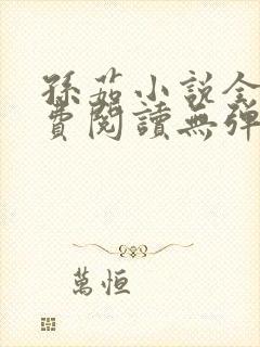 孙茹小说全文免费阅读无弹窗