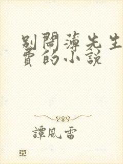 别闹薄先生全免费的小说