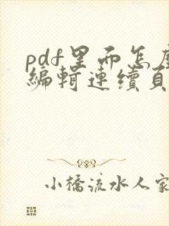 pdf里面怎么编辑连续页码