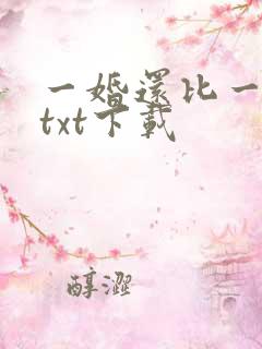 一婚还比一婚高txt下载