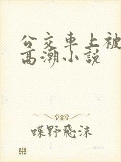 公交车上被插到高潮小说