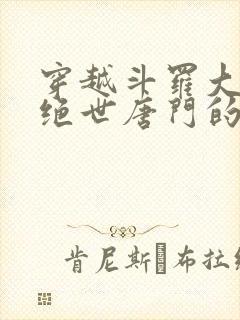 穿越斗罗大陆2绝世唐门的小说