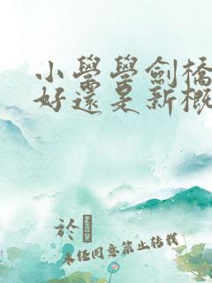 小学学剑桥英语好还是新概念英语好