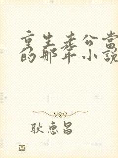 重生老公当校草的那年小说