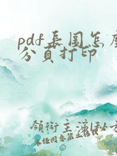 pdf长图怎么分页打印