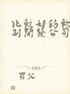 比较好的软件定制开发公司