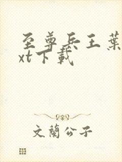 至尊兵王叶枫txt下载