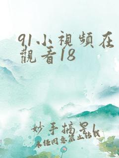 91小视频在线观看18