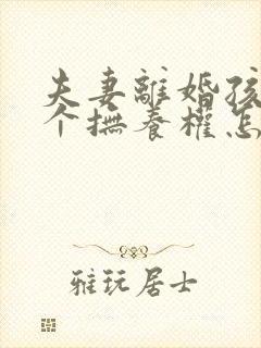 夫妻离婚孩子两个抚养权怎么判定