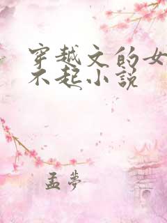 穿越文的女主伤不起小说