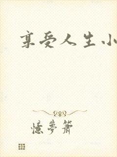 享受人生小说
