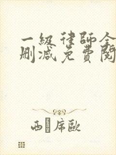 一级律师全文无删减免费阅读