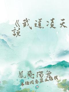 《武道凌天》小说