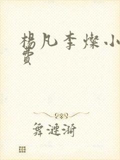 杨凡李灿小说免费