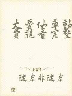 大爱仙尊动漫免费观看完整版