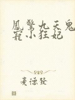 凤惊九天鬼帝溺宠小狂妃
