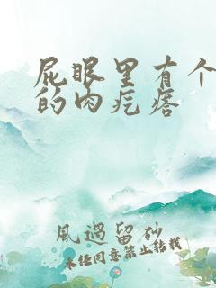 屁眼里有个软软的肉疙瘩