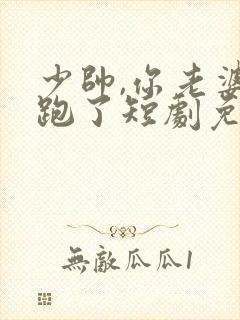 少帅,你老婆又跑了短剧免费大结局