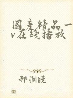 国产精品一级av在线播放