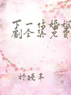 下一站婚姻电视剧全集免费观看