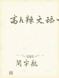 高h辣文舔穴