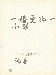 一婚更比一婚高 小说