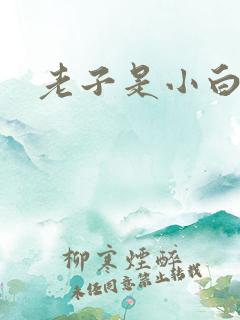老子是小白脸