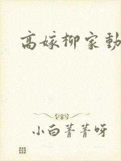 高嫁柳家动画片
